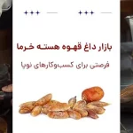 بازار داغ قهوه هسته خرما ؛ فرصتی برای کسب‌وکارهای نوپا