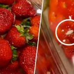 90 درصد آدما توت فرنگی رو اشتباه میشورن/ صفر تا صد شستن اصولی توت فرنگی مثل حرفه ایا
