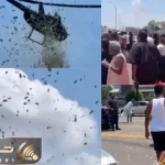 بارش دلار از آسمان!