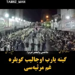 مداحی باشکوه پسر ترک دل یه ملت رو به آتش کشید / گینه یا رب اوجالیب گویلره