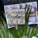 پایان تلخ الهه حسین‌نژاد / همسایگان از الهه و خانواده اش گفتند
