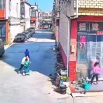 فیلم جاخالی دیدنی پسربچه از حمله گراز