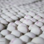 پیش بینی تولید ۱۱۲ هزارتن تخم مرغ در مرداد