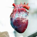 ابزار جدید سن قلب: روشی ساده برای درک بهتر خطر بیماری قلبی