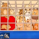 بازی فکری؛ اگه دید تک‌ تیراندازی داری خرگوش رو بین همسترها پیدا کن!