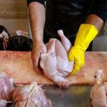 تداوم کاهش قیمت مرغ با استمرار افزایش عرضه