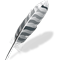 Wing Pro 11.0.3