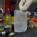 «پرده آمنیوتیک» نماد پیشرفت در درمان بیماری‌های صعب‌العلاج