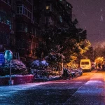 آرامش در دل شب از رقص دانه‌های برف از خواب اردک