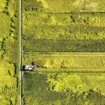 کاهش ۱۰ درصدی ضایعات گامی برای کاهش ۱۰ میلیون تنی واردات محصولات کشاورزی + فیلم