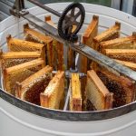 لوازم مورد نیاز زنبورداری؛ راهنمای کامل تجهیزات ضروری زنبورداری