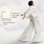 رنگ سال 2026 چیست؟ چرا رنگ جدید هیچ رنگی ندارد؟ / فیلم