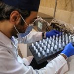 بزرگ شدن دانش‌بنیان‌ها یک شبه اتفاق نمی‌افتد 