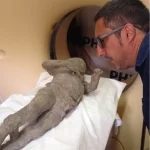 راز لباس‌های زمستانی قربانیان پمپئی در اوج گرمای تابستان؛ تاریخ دوباره نوشته می‌شود؟