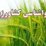 دامداران از عبور در ارتفاعات و توقف در حاشیه مسیل‌ها اجتناب کنند
