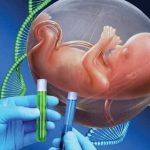 جلوگیری از ناتوانی ذهنی و ناشنوایی با «مشاوره ژنتیک»