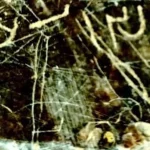 خبر داغ! کتیبه‌ای از دوران ساسانی بر صخره‌های مرودشت کشف شد؛ دستیابی به رموز کیهانی