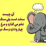 چیستان؛ اون چیه که سخته ولی سنگ نیس، تخم میذاره و مرغ نیس، چهارتا پا داره ولی سگ نیس؟