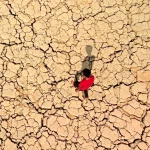 باران آمد، بحران ماند / سدهای ایران در وضعیت هشدار!